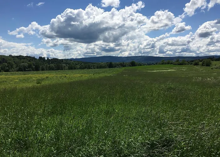 Biala Paprotka ゲストハウス *