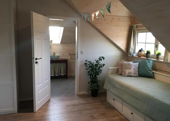 Biala Paprotka ゲストハウス